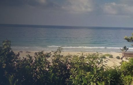 Chalet seaview banner